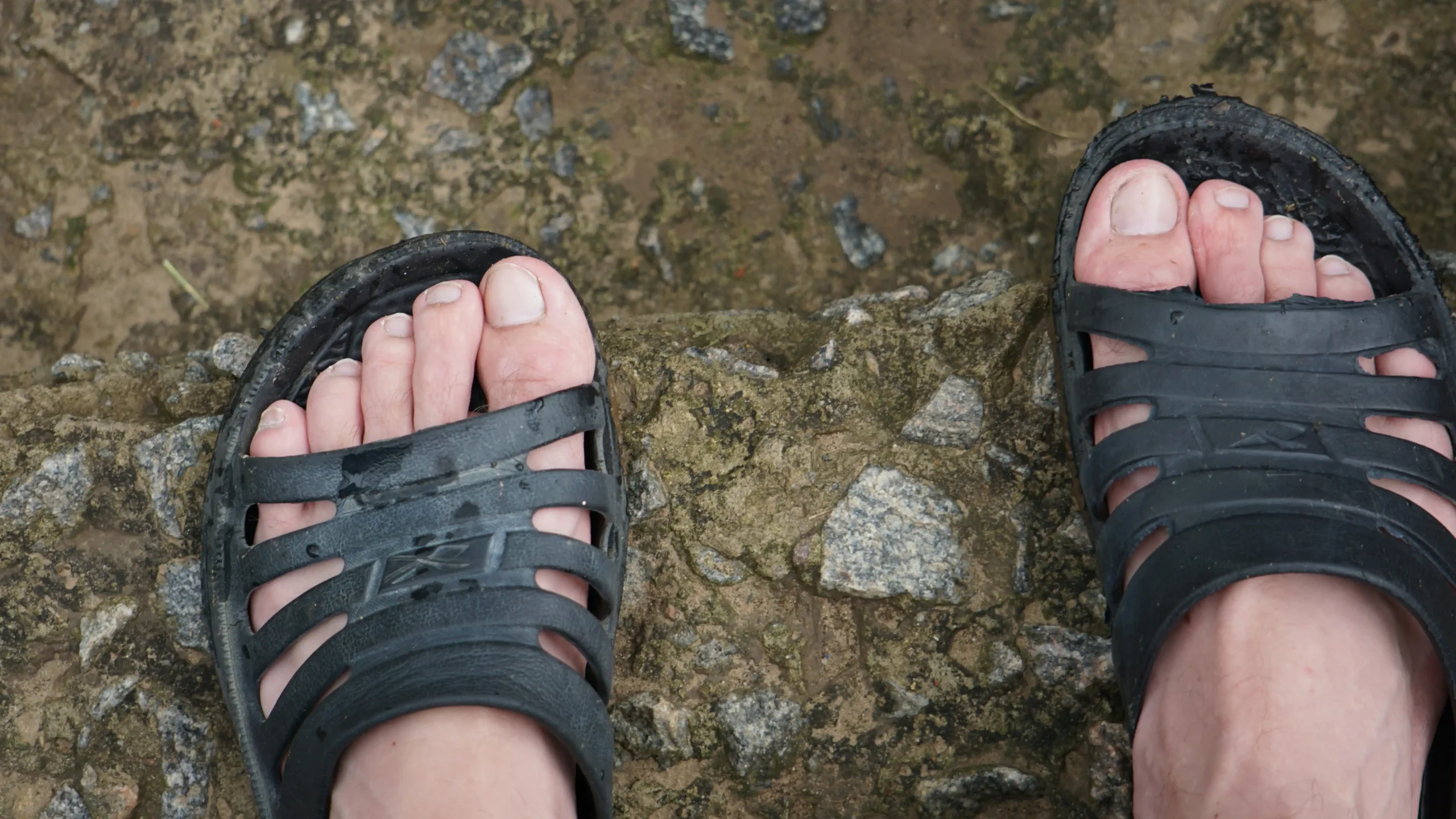 barefoot outsole adhesive toxicology report