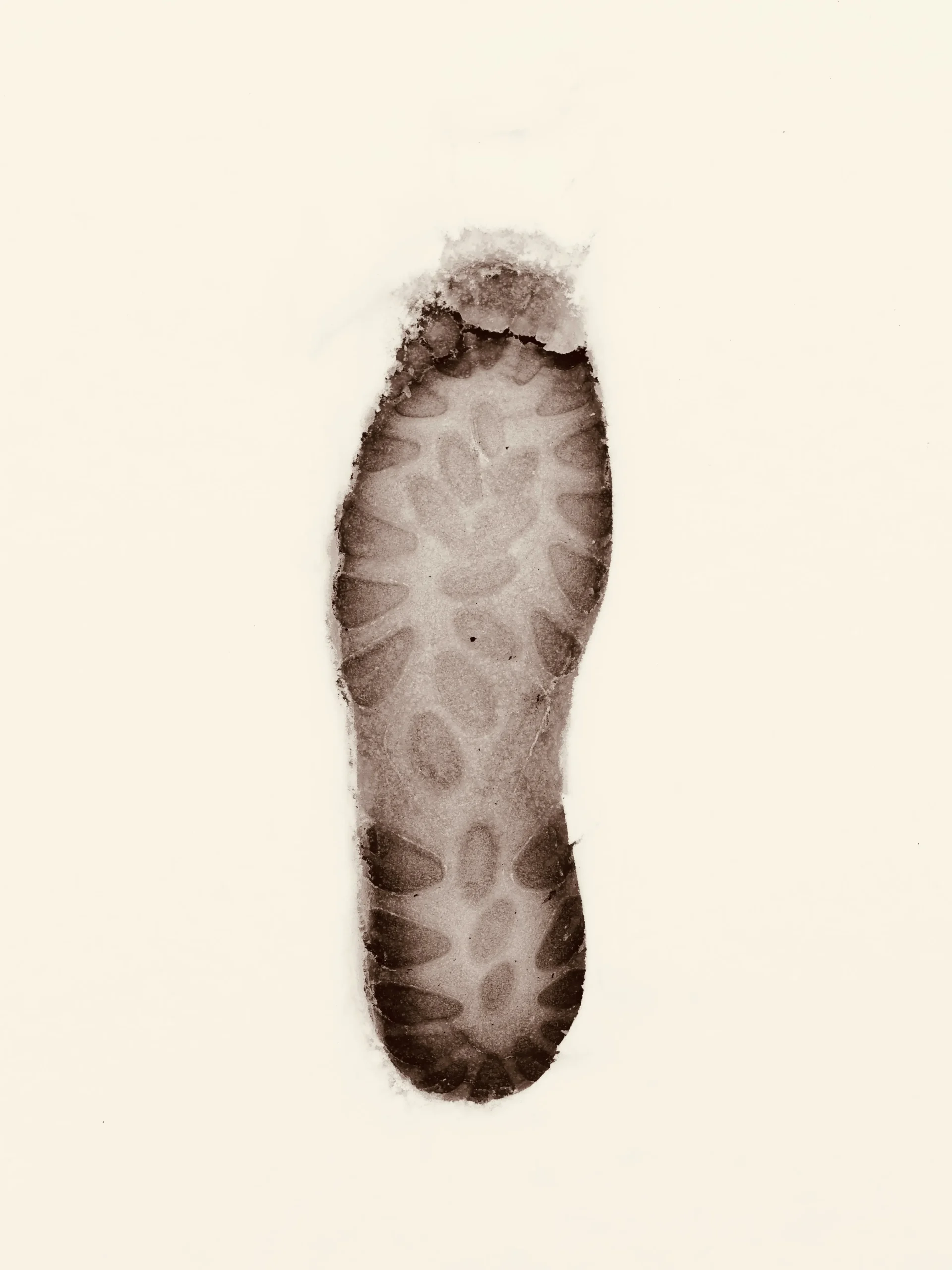 barefoot toxicology report for outsole adhesive