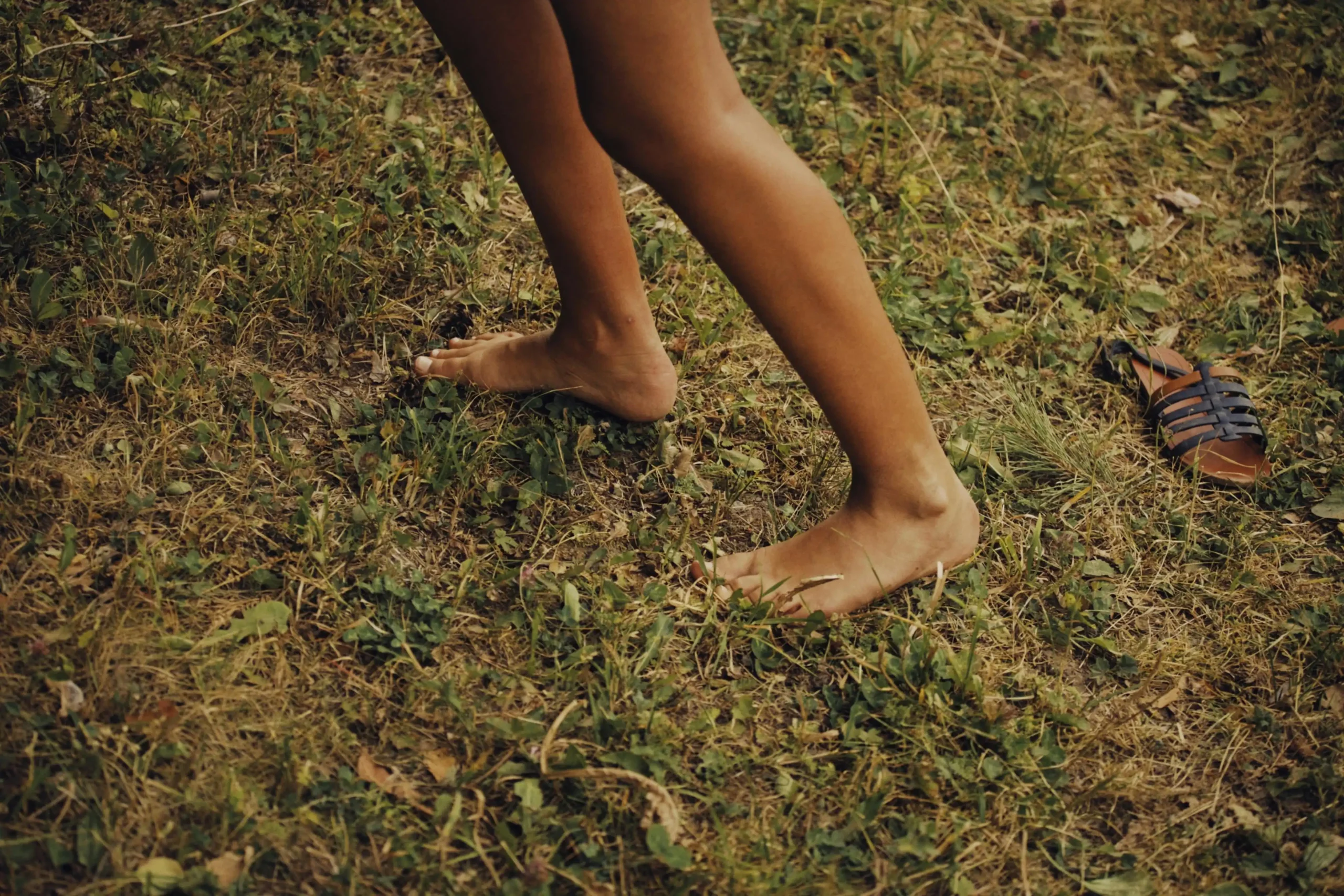 Pexels Image 10961500 by Alexey Demidov