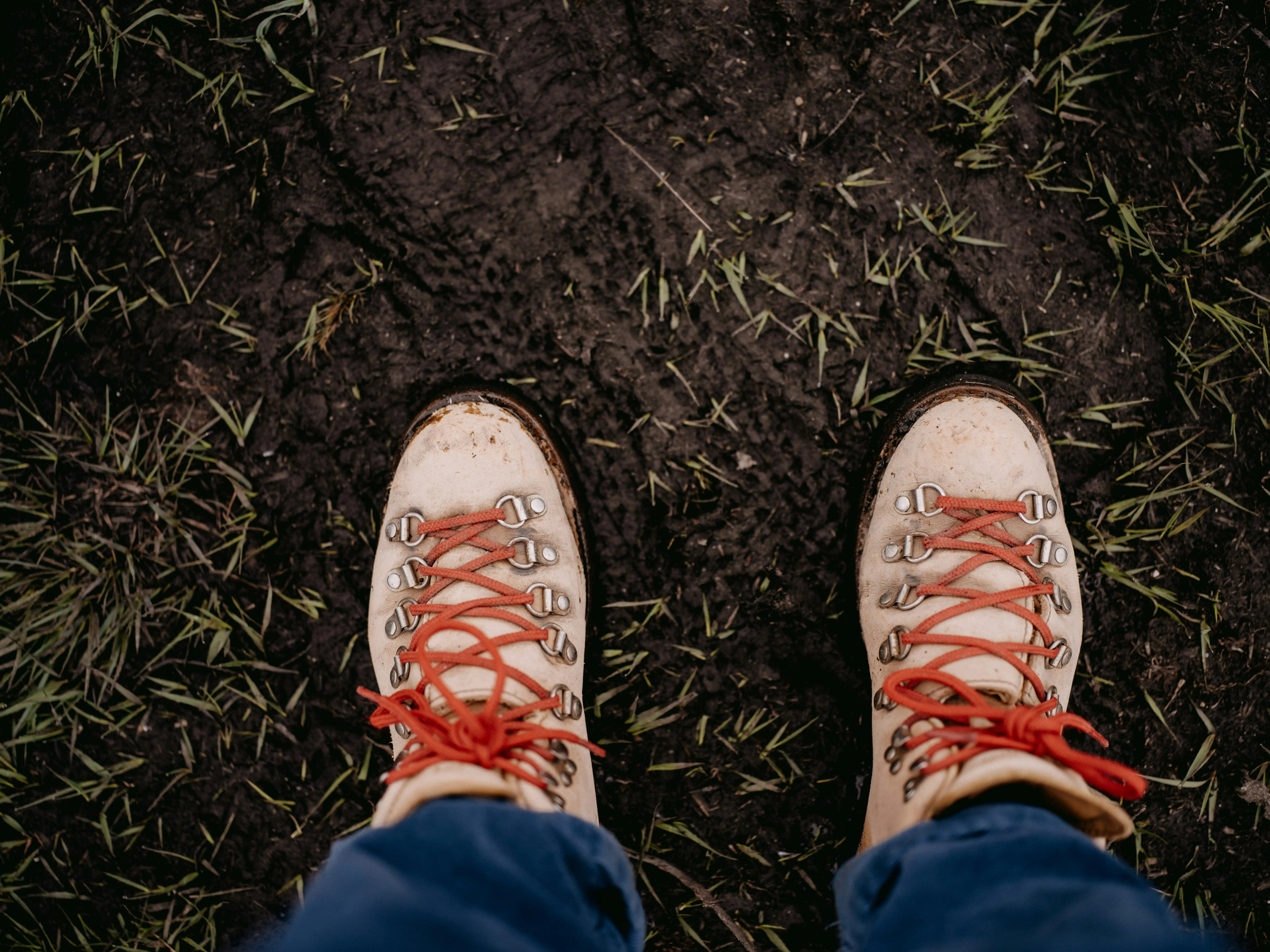 Unsplash Image 9mmeA8znCBk by Annie Spratt