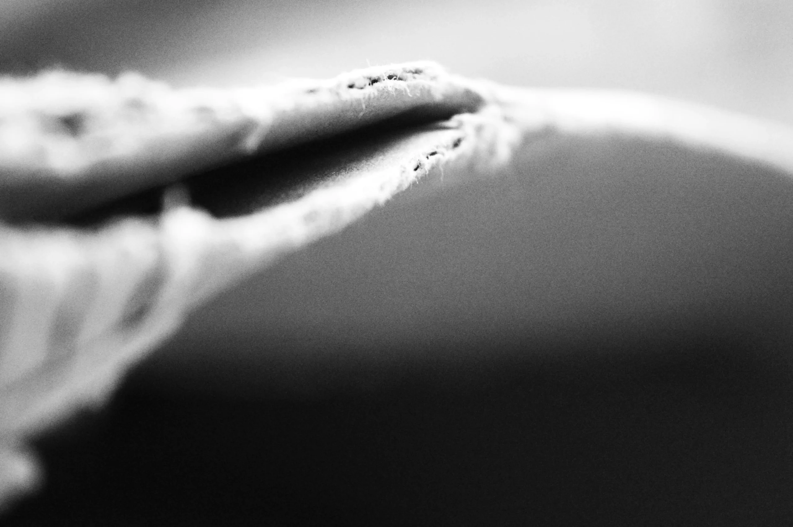 Unsplash Image ViUMz97Lizo by Sarah Khemiri